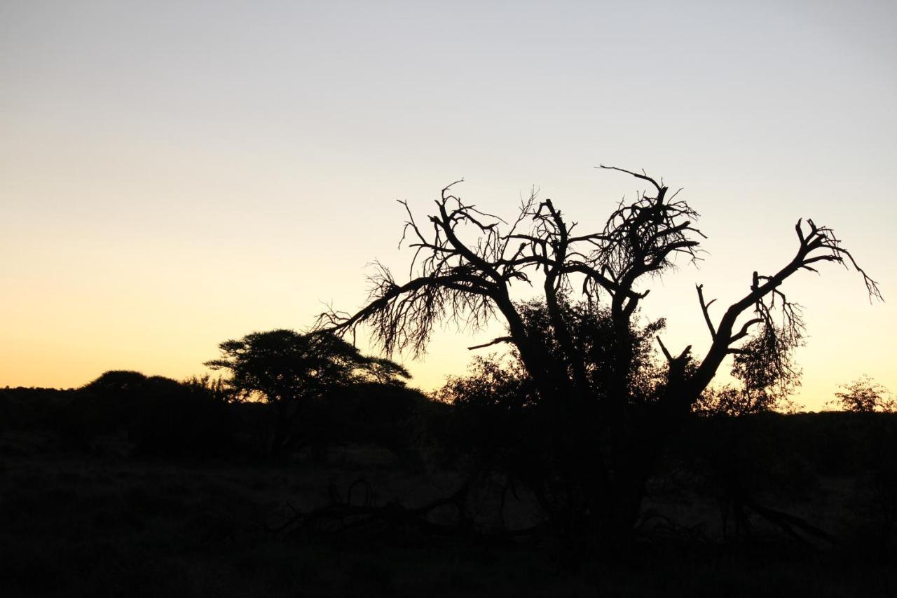Wag N Bietjie Bush Lodge Heuningneskloof 外观 照片